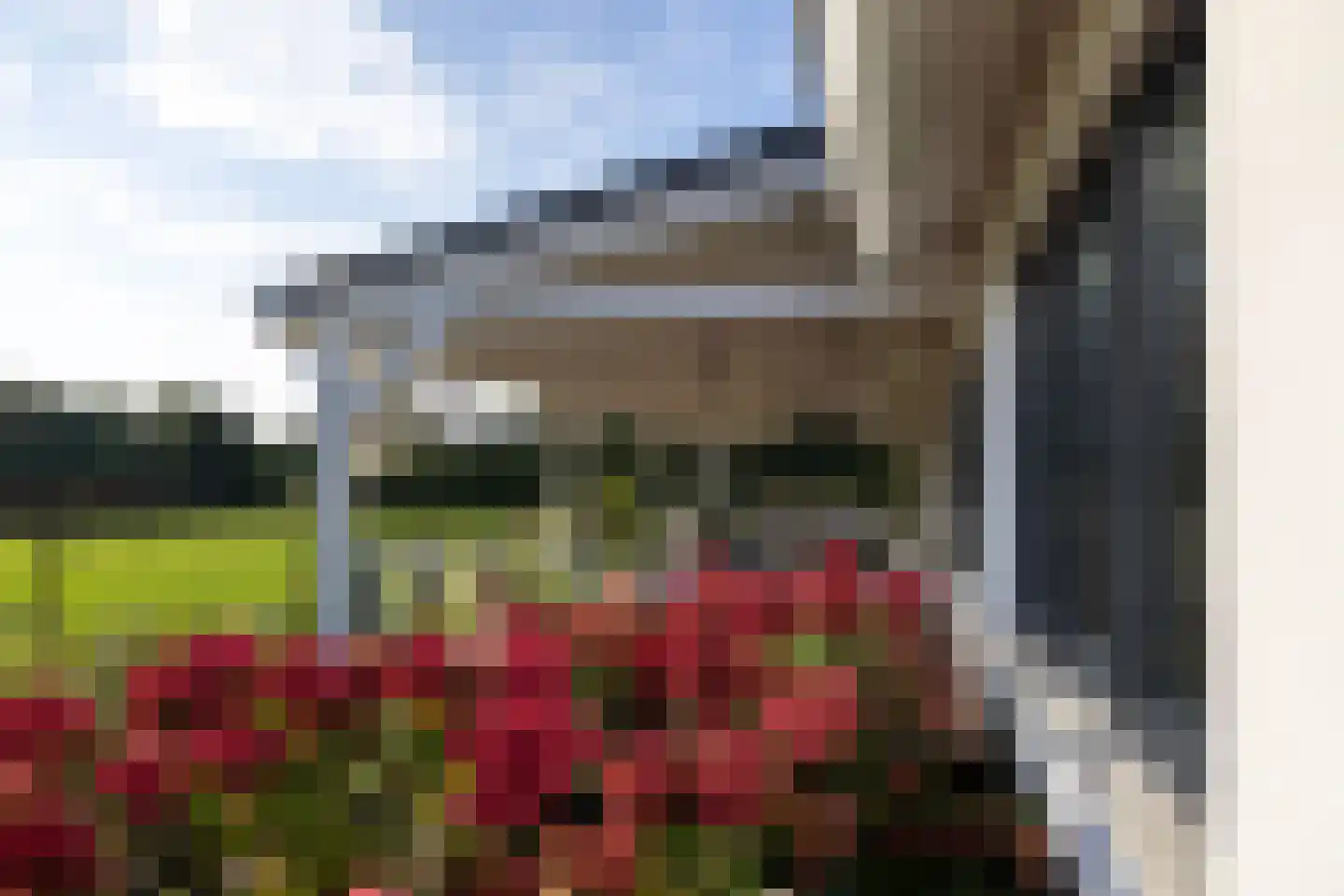 Haarweg 14 Tiendeveen thumbnail 29