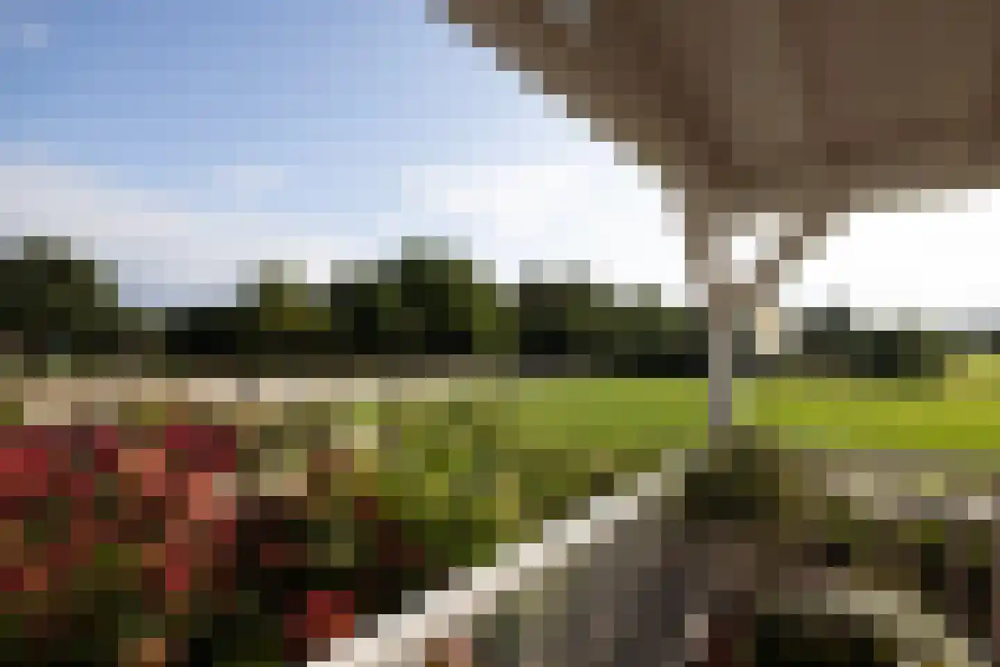 Haarweg 14 Tiendeveen thumbnail 30