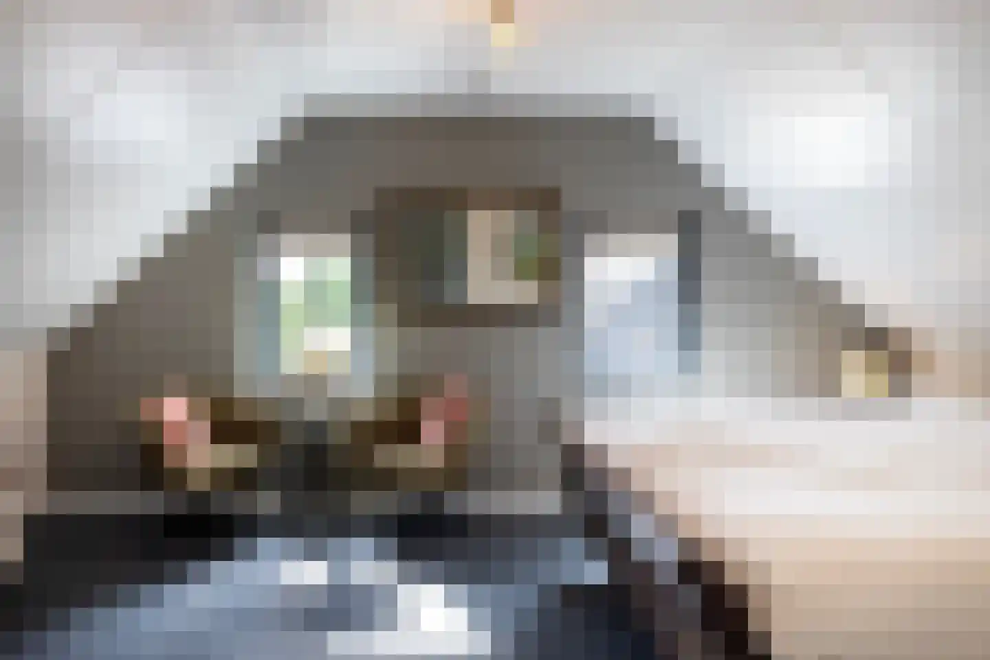 Haarweg 14 Tiendeveen thumbnail 38