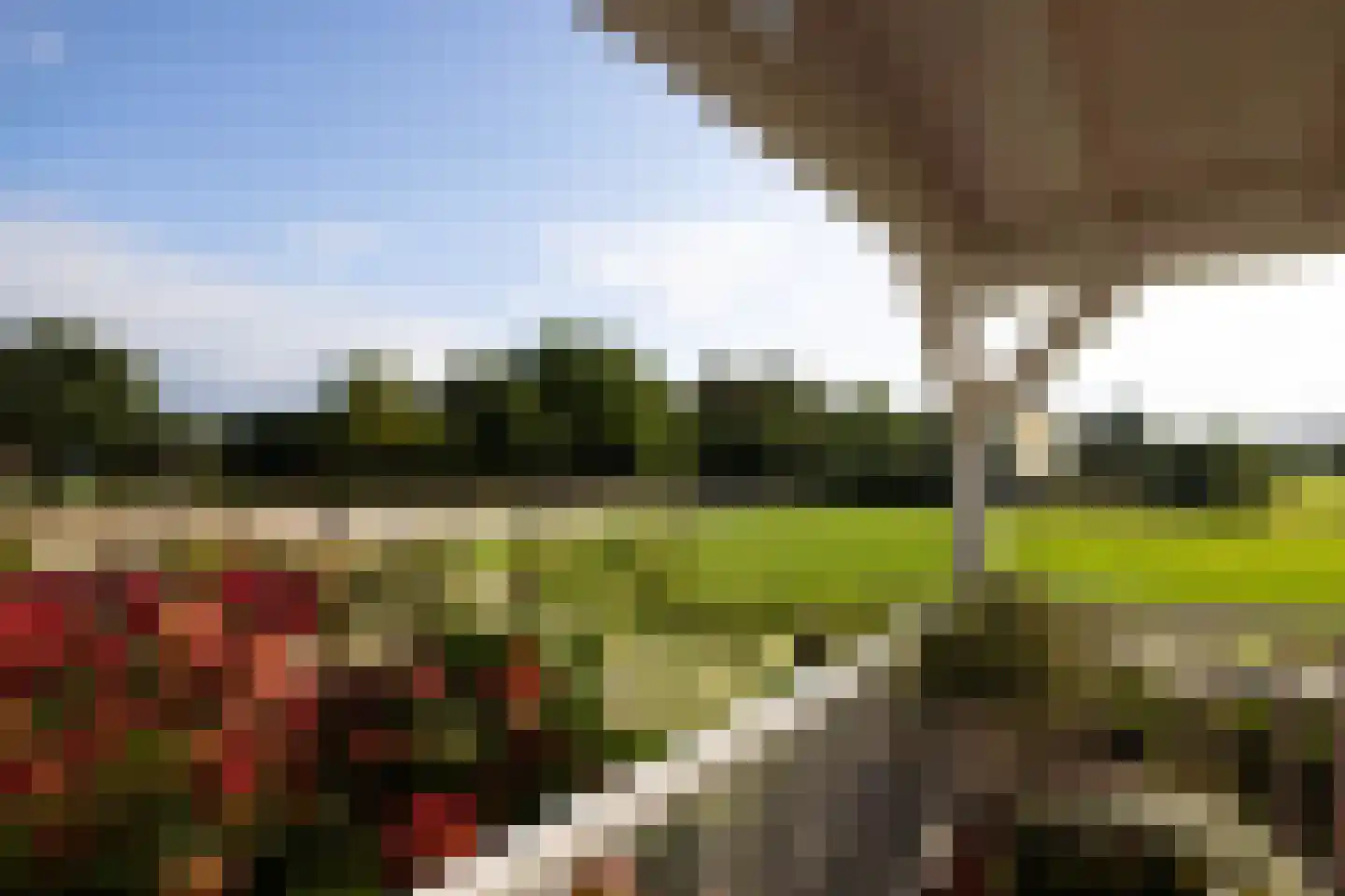 Haarweg 14 Tiendeveen thumbnail 4