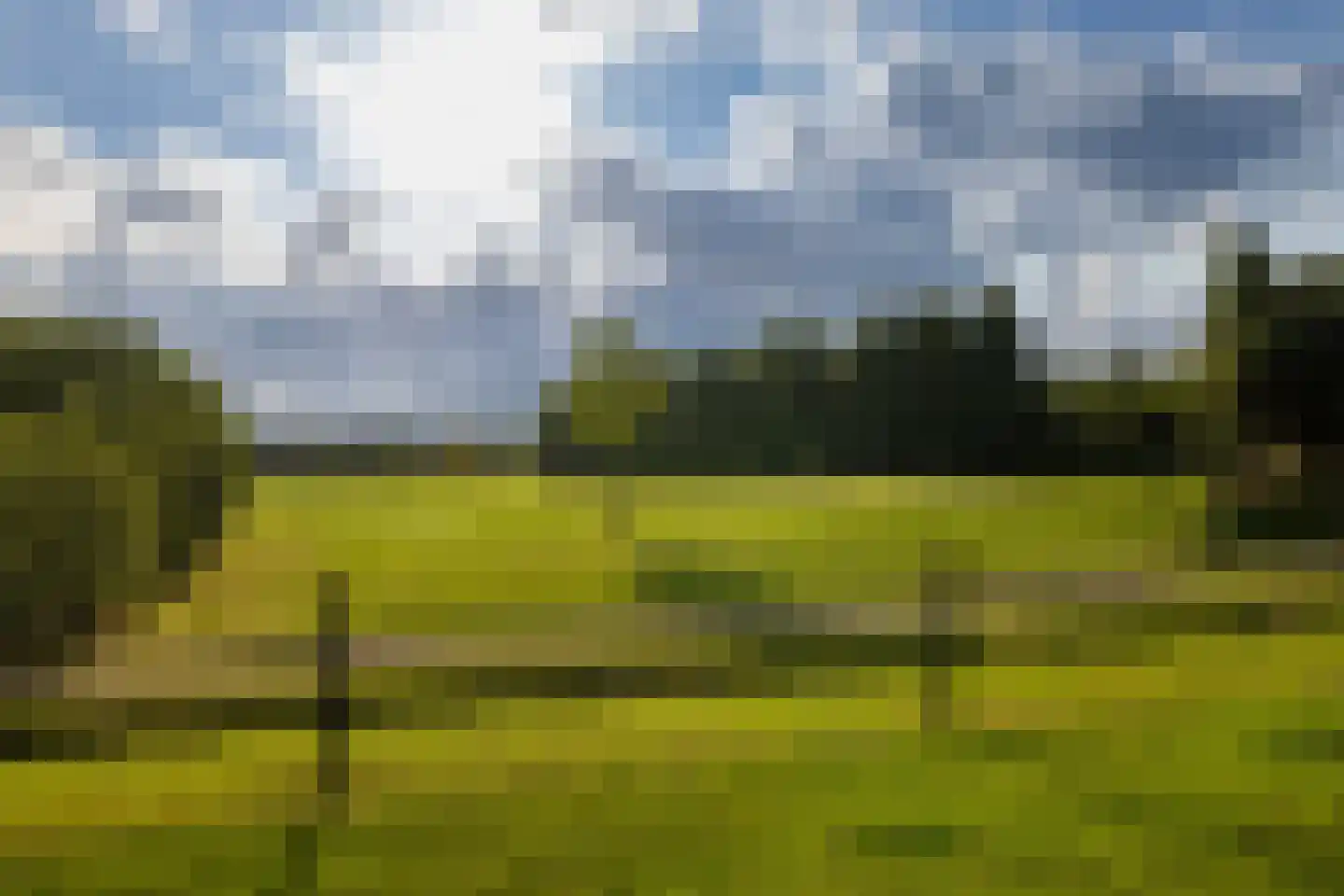 Haarweg 14 Tiendeveen thumbnail 4