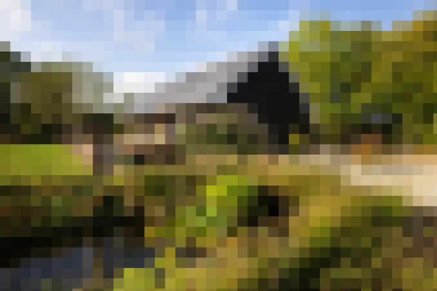 Haarweg 14 Tiendeveen thumbnail 41