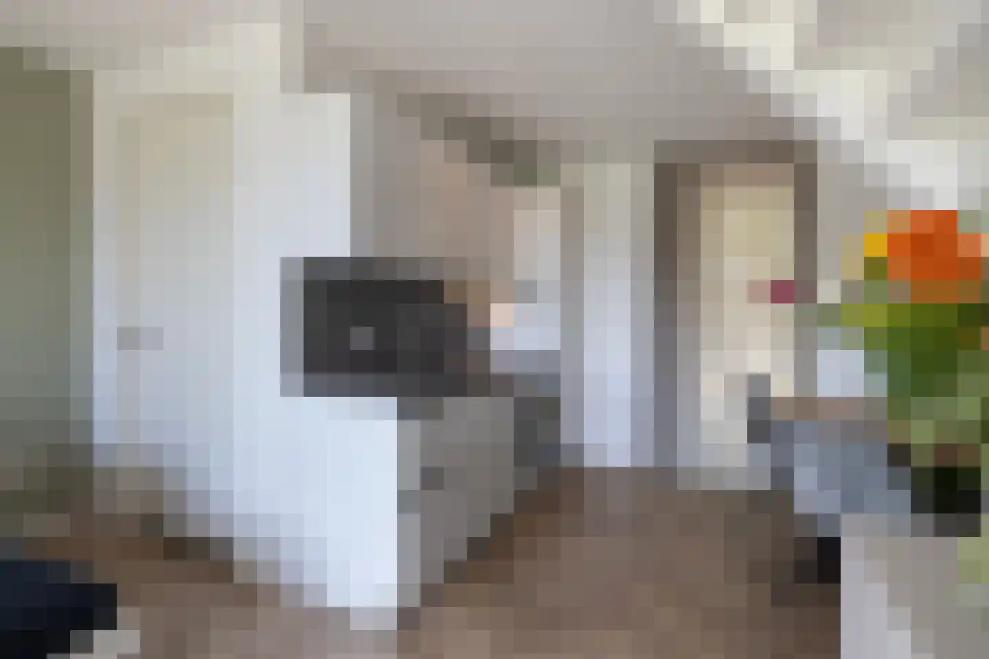Haarweg 14 Tiendeveen thumbnail 47