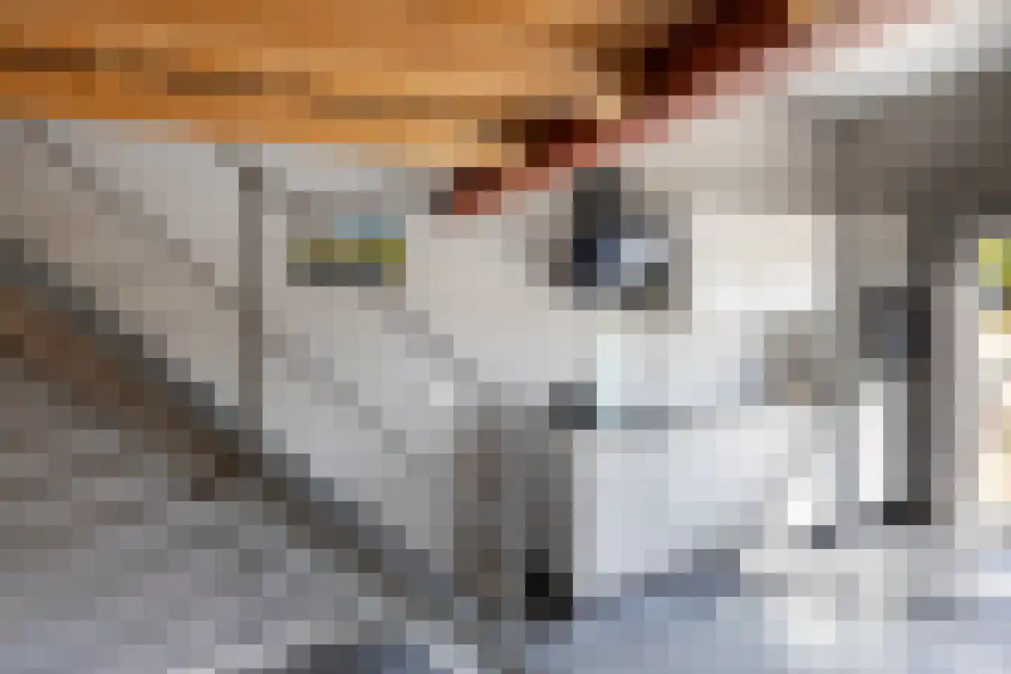 Haarweg 14 Tiendeveen thumbnail 61