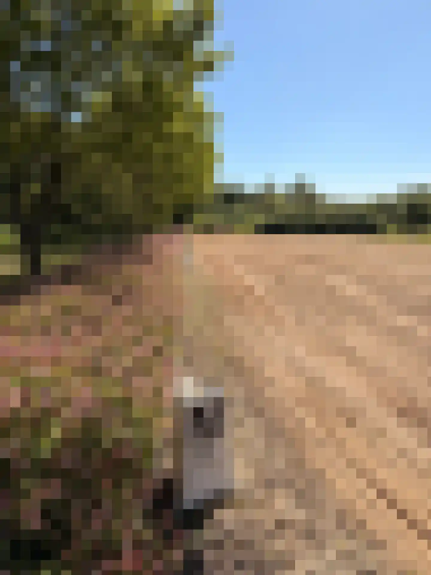 Haarweg 14 Tiendeveen thumbnail 66