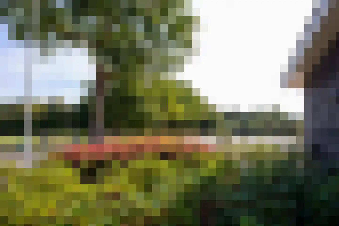 Haarweg 14 Tiendeveen thumbnail 69