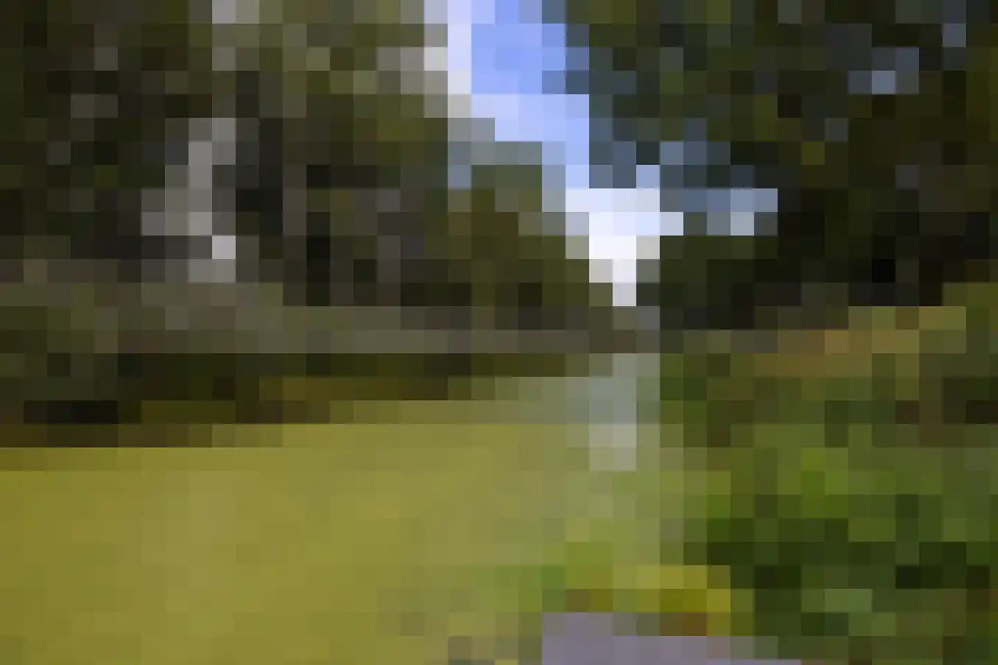 Haarweg 14 Tiendeveen thumbnail 79
