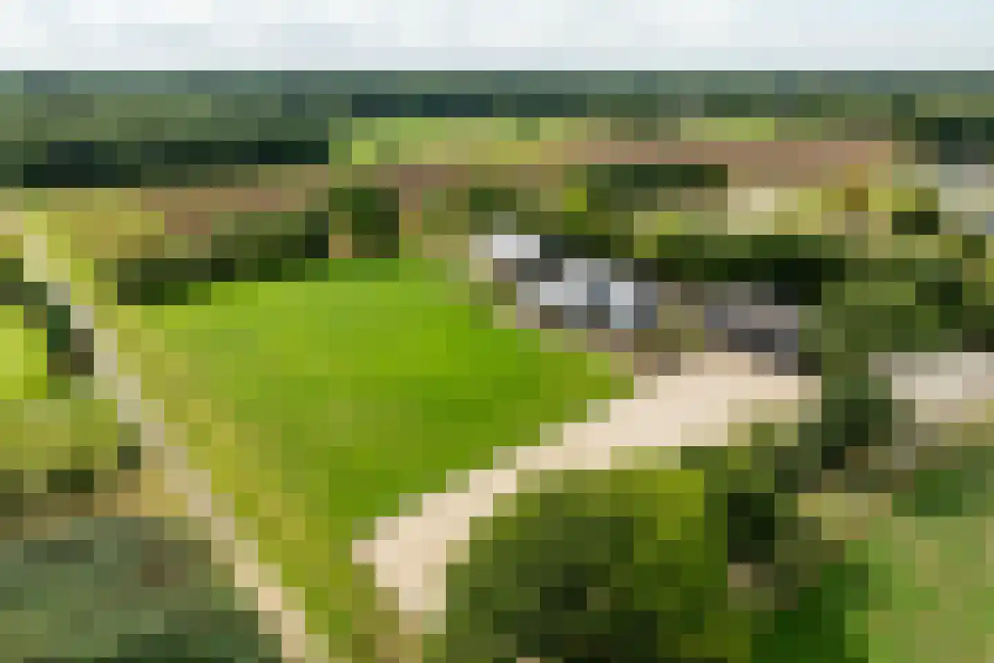 Haarweg 14 Tiendeveen thumbnail 8