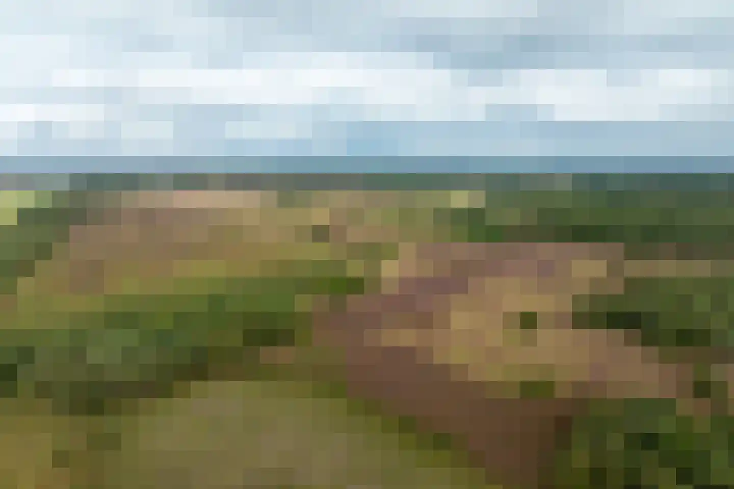 Haarweg 14 Tiendeveen thumbnail 83