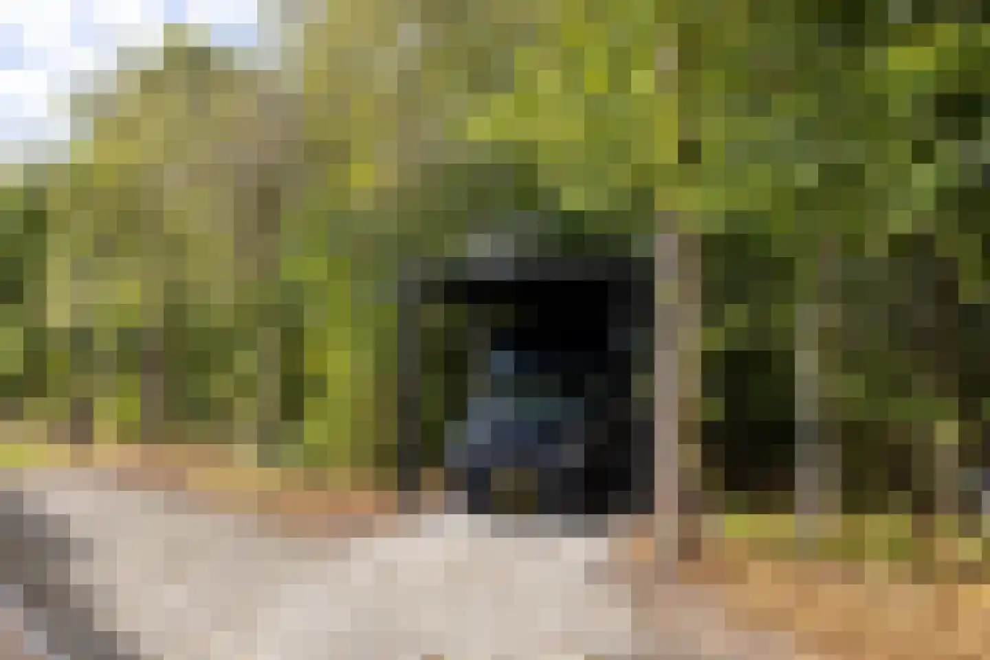 Haarweg 14 Tiendeveen thumbnail 83