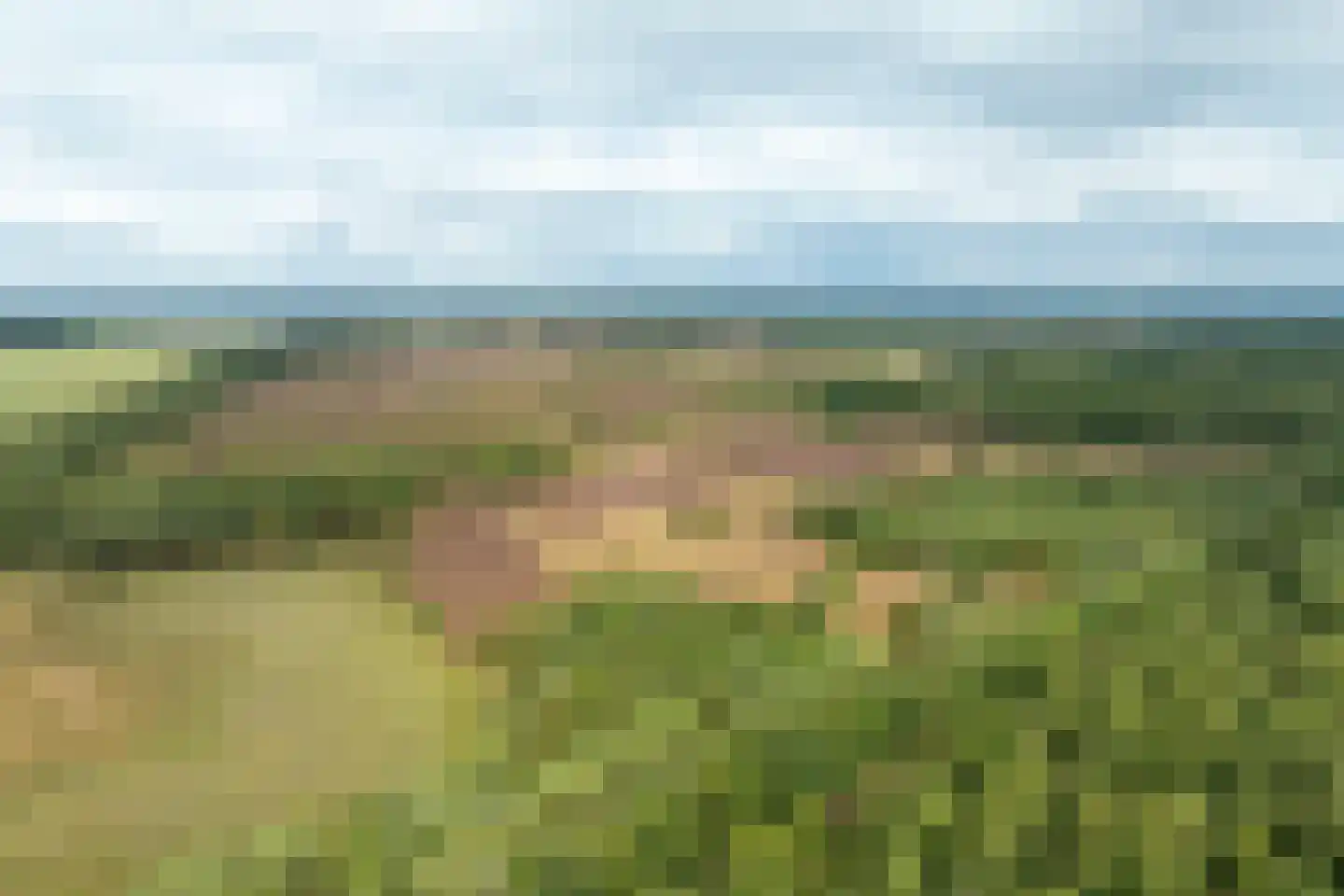 Haarweg 14 Tiendeveen thumbnail 85