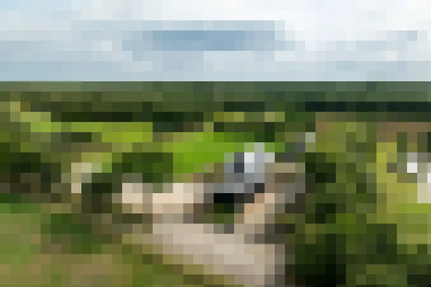 Haarweg 14 Tiendeveen thumbnail 87