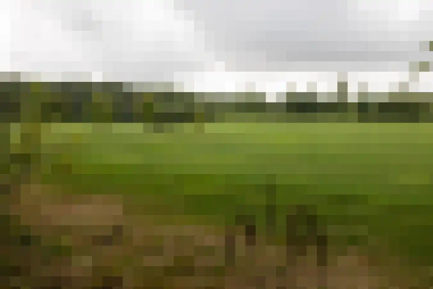Haarweg 14 Tiendeveen thumbnail 92
