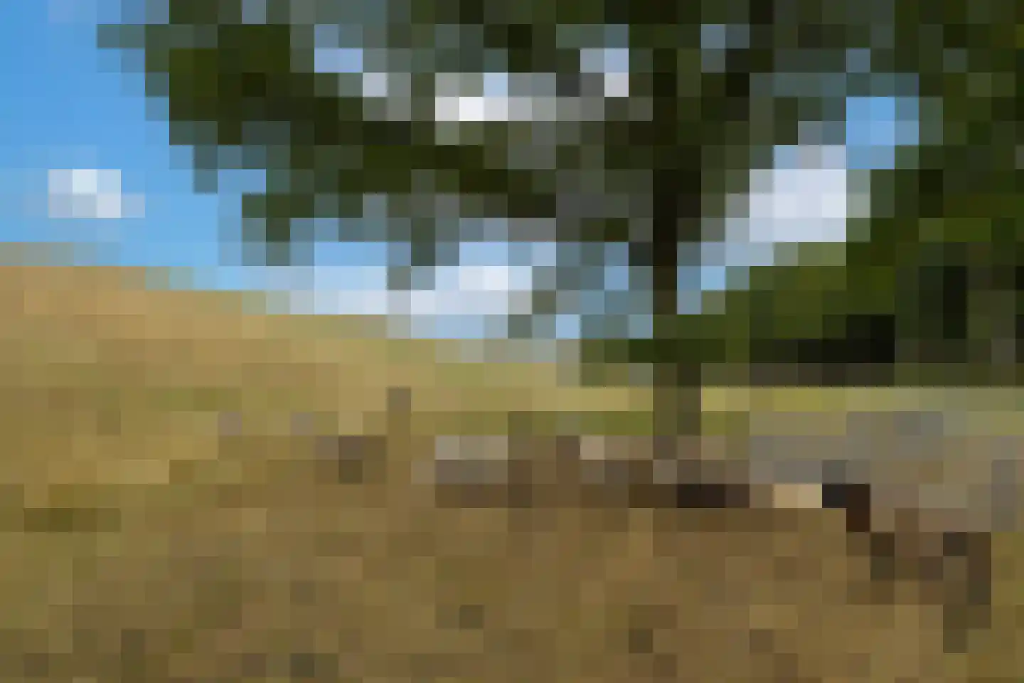 Haarweg 14 Tiendeveen thumbnail 96