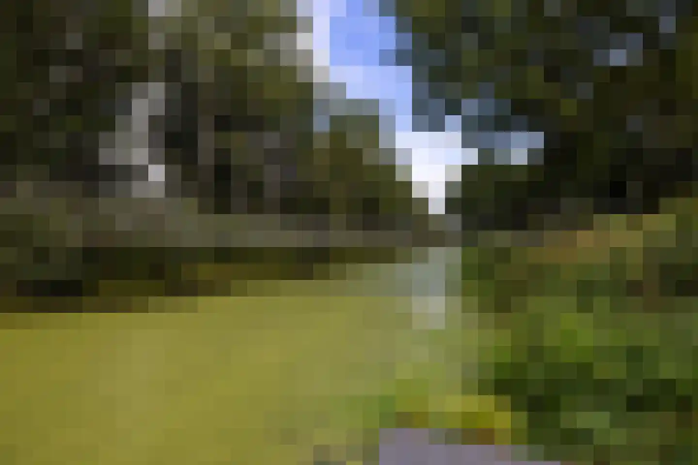 Haarweg 14 Tiendeveen thumbnail 97