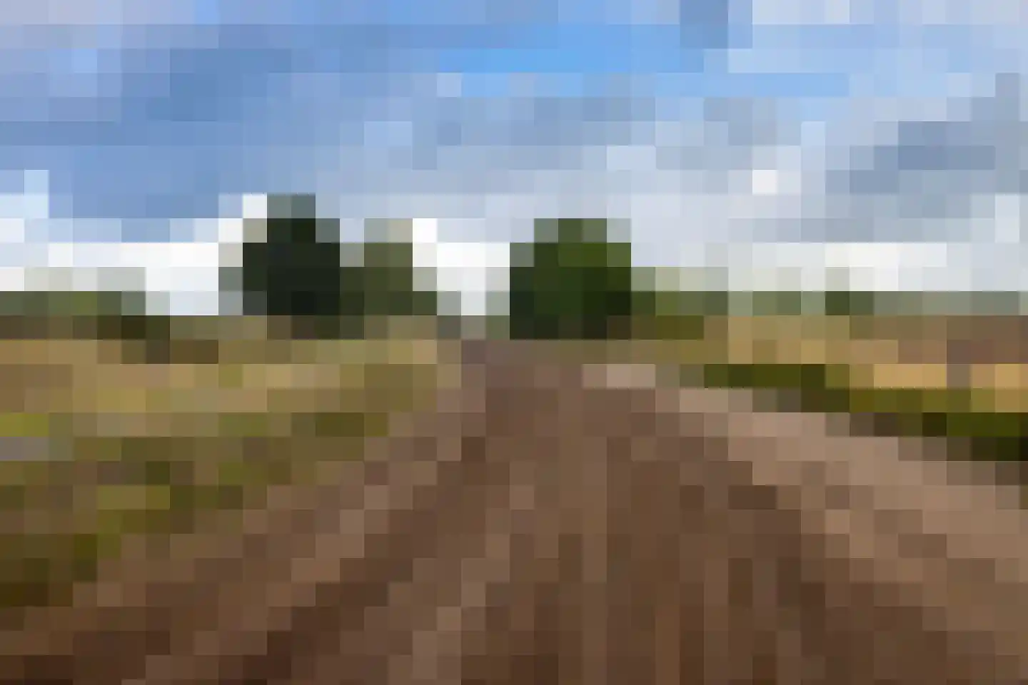 Haarweg 14 Tiendeveen thumbnail 99