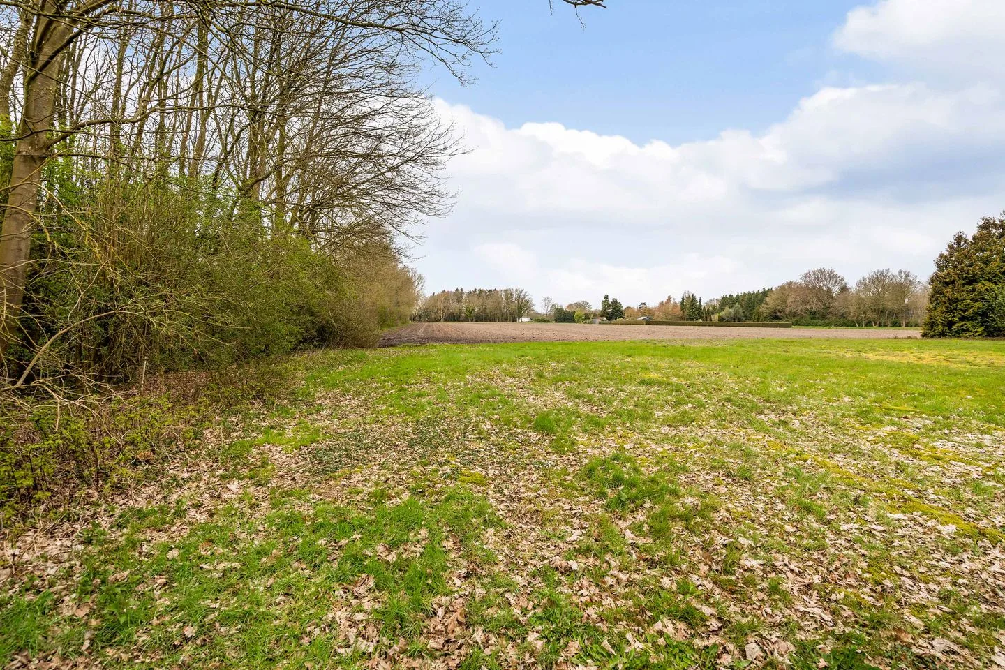 Haarweg 15 b 10 Tiendeveen thumbnail 54