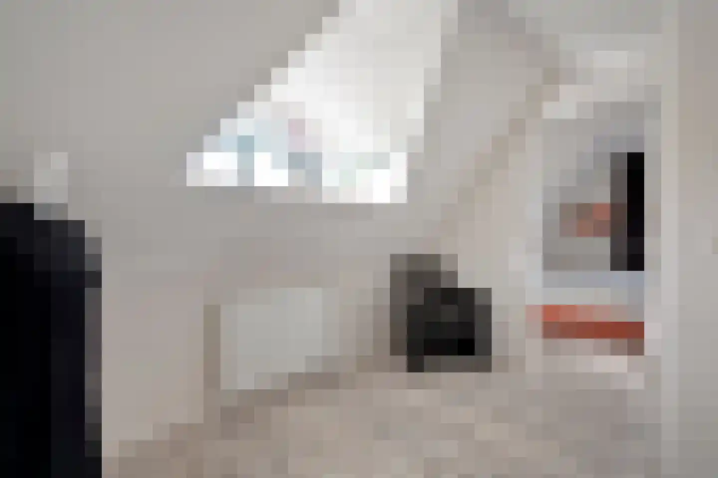 Haarweg 15 b 12 Tiendeveen thumbnail 31