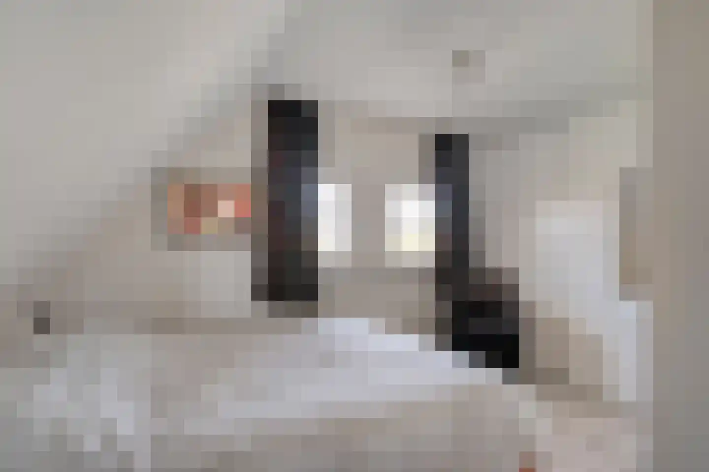 Haarweg 15 b 12 Tiendeveen thumbnail 37
