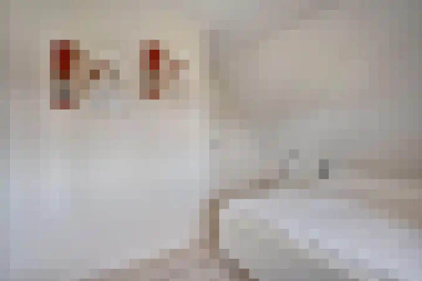 Haarweg 15 b 12 Tiendeveen thumbnail 38