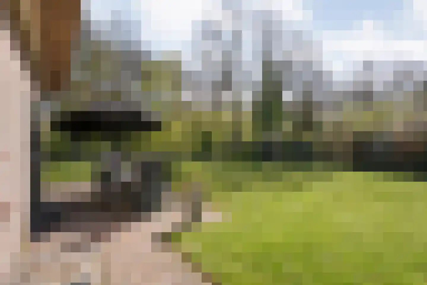 Haarweg 15 b 12 Tiendeveen thumbnail 40
