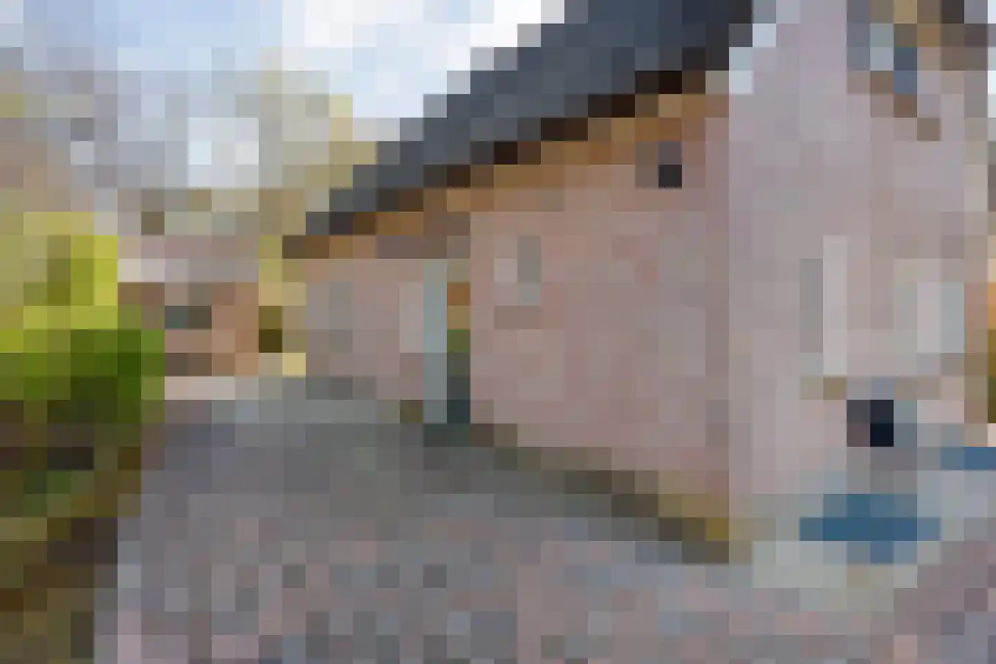 Haarweg 15 b 12 Tiendeveen thumbnail 47