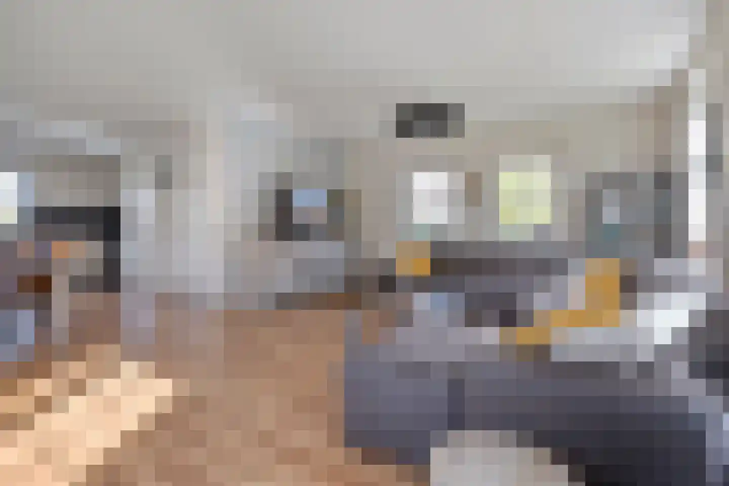 Haarweg 15 b 12 Tiendeveen thumbnail 6