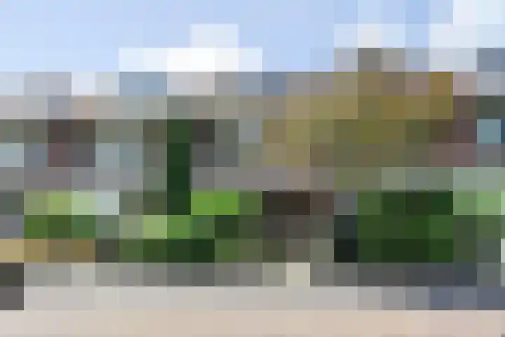 Haarweg 15 b 22 Tiendeveen thumbnail 4