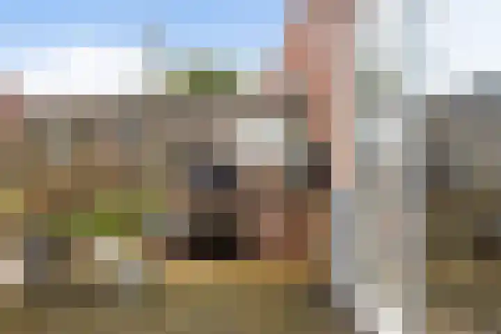 Haarweg 15 b 22 Tiendeveen thumbnail 40