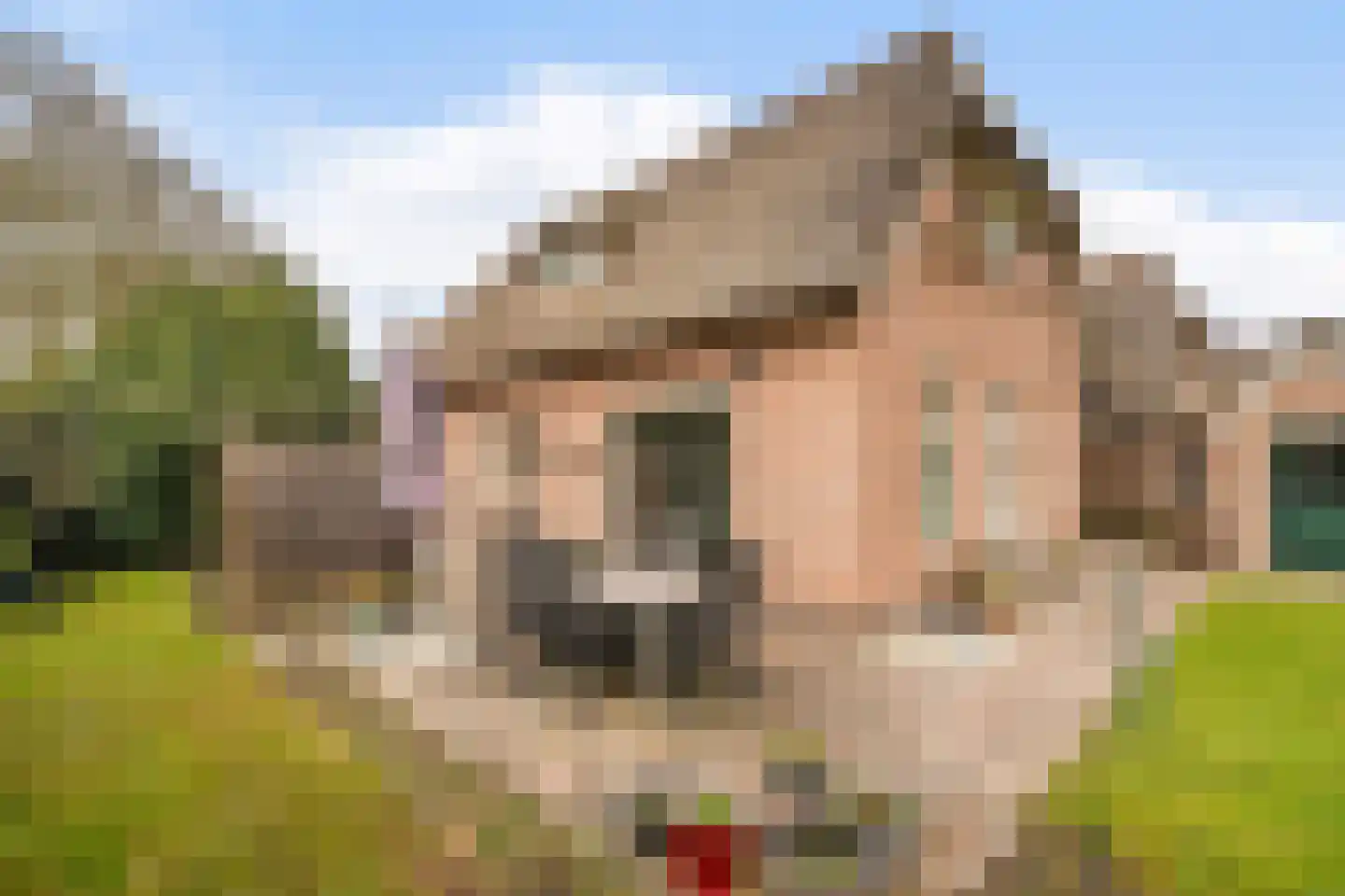 Haarweg 15 b 22 Tiendeveen thumbnail 42