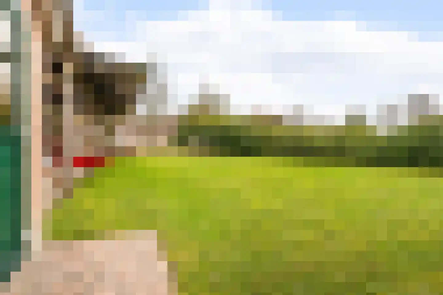 Haarweg 15 b 22 Tiendeveen thumbnail 44