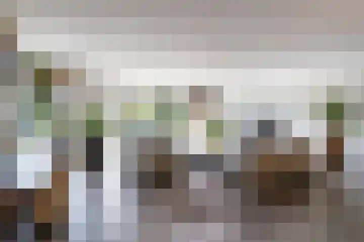 Haarweg 15 b 22 Tiendeveen thumbnail 50