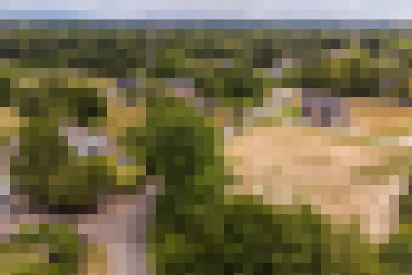 Haarweg 2 02 Overberg thumbnail 4