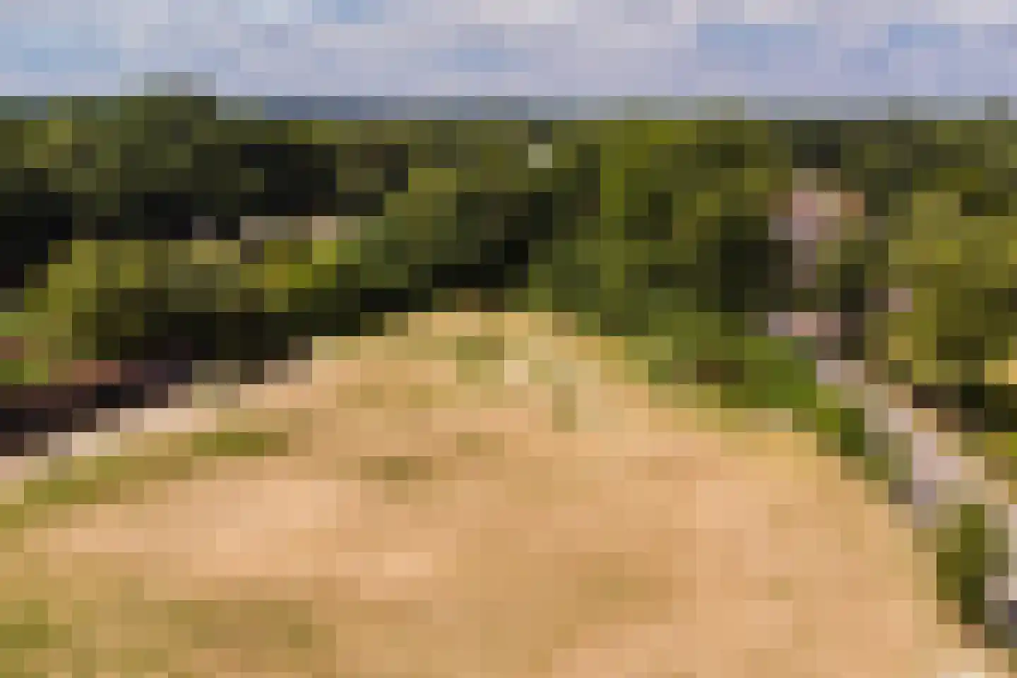 Haarweg 2 02 Overberg thumbnail 5