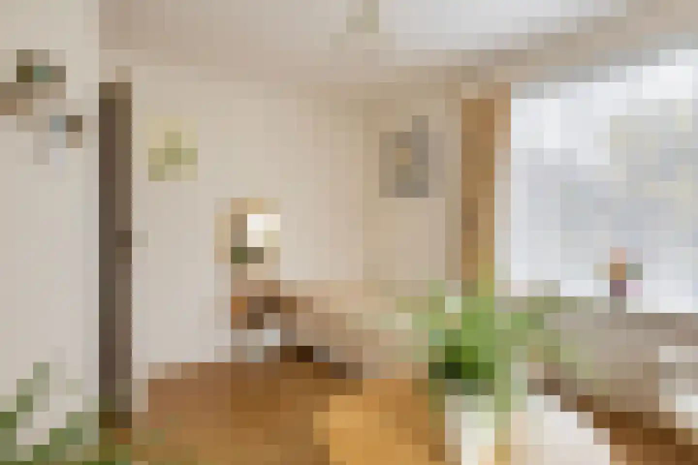 Haarweg 2 Elspeet thumbnail 18