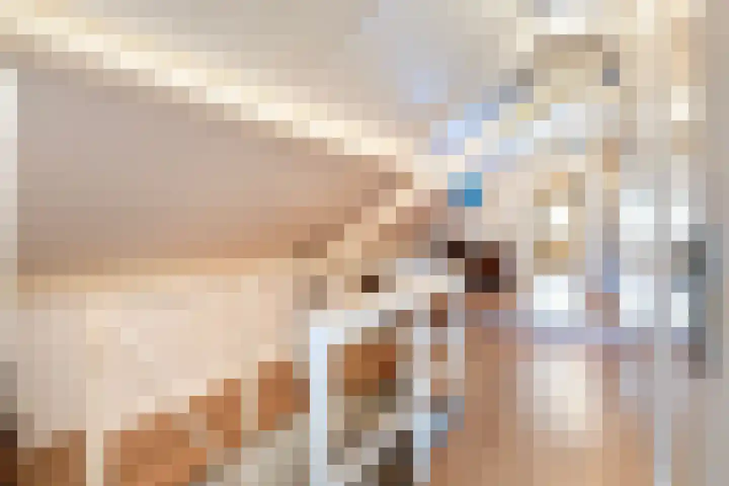 Haarweg 2 Elspeet thumbnail 23