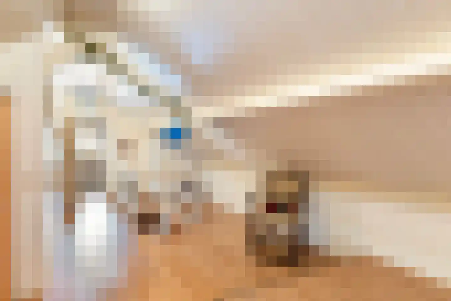 Haarweg 2 Elspeet thumbnail 25