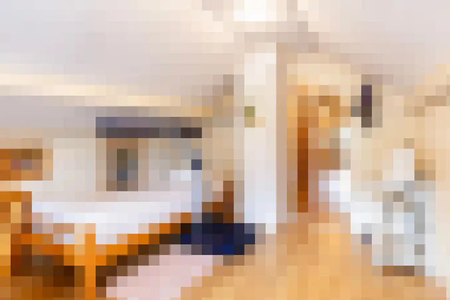 Haarweg 2 Elspeet thumbnail 27