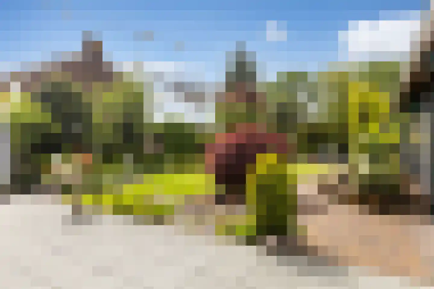 Haarweg 2 Elspeet thumbnail 28