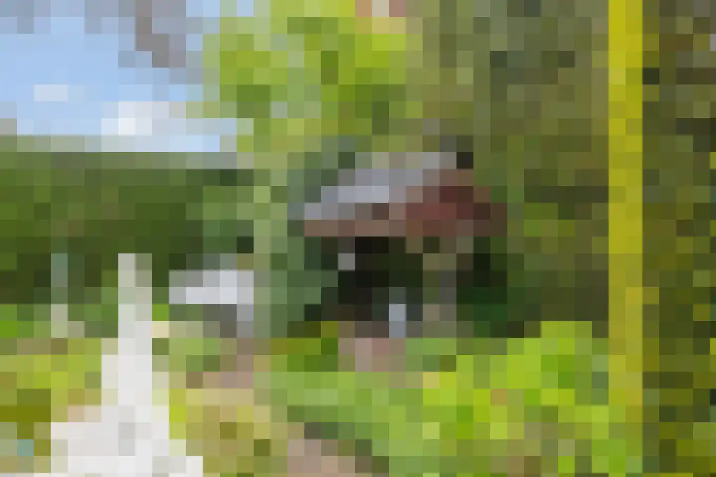 Haarweg 2 Elspeet thumbnail 33