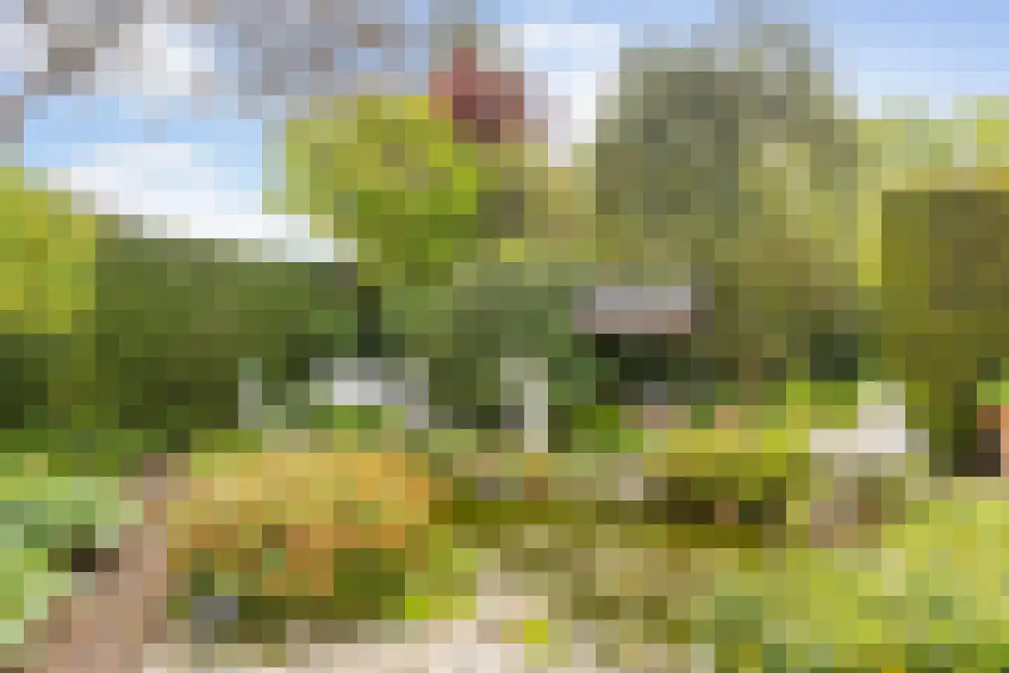 Haarweg 2 Elspeet thumbnail 34