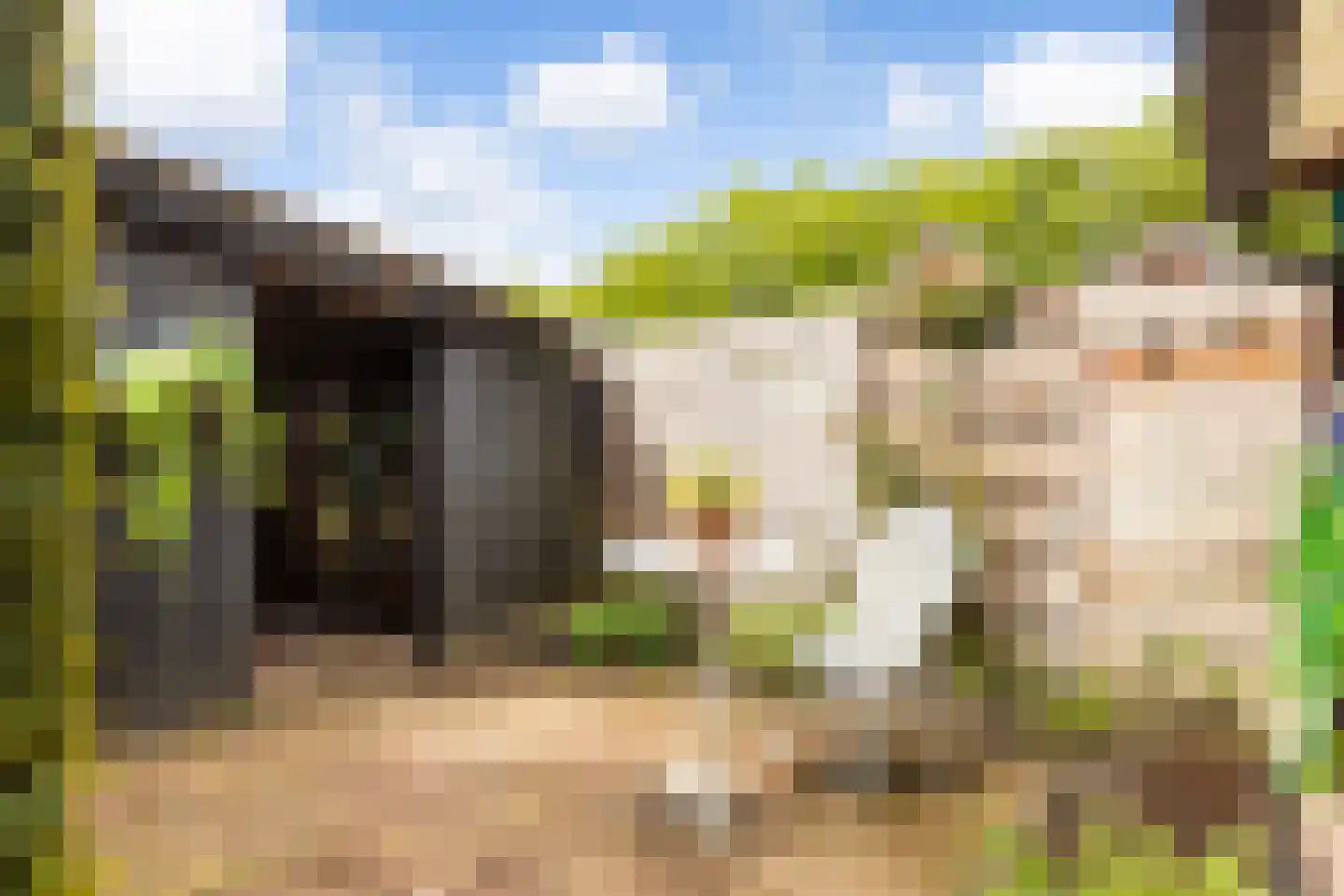 Haarweg 2 Elspeet thumbnail 35