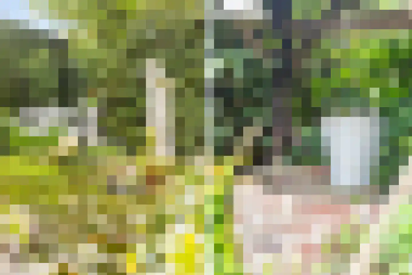Haarweg 2 Elspeet thumbnail 37