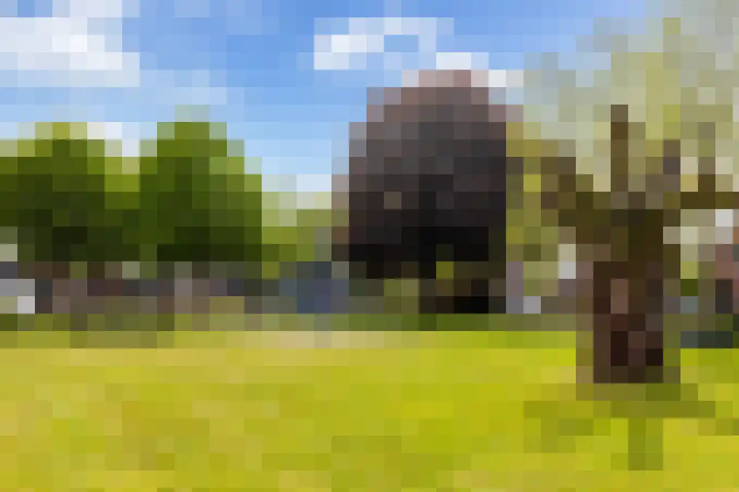 Haarweg 2 Elspeet thumbnail 42