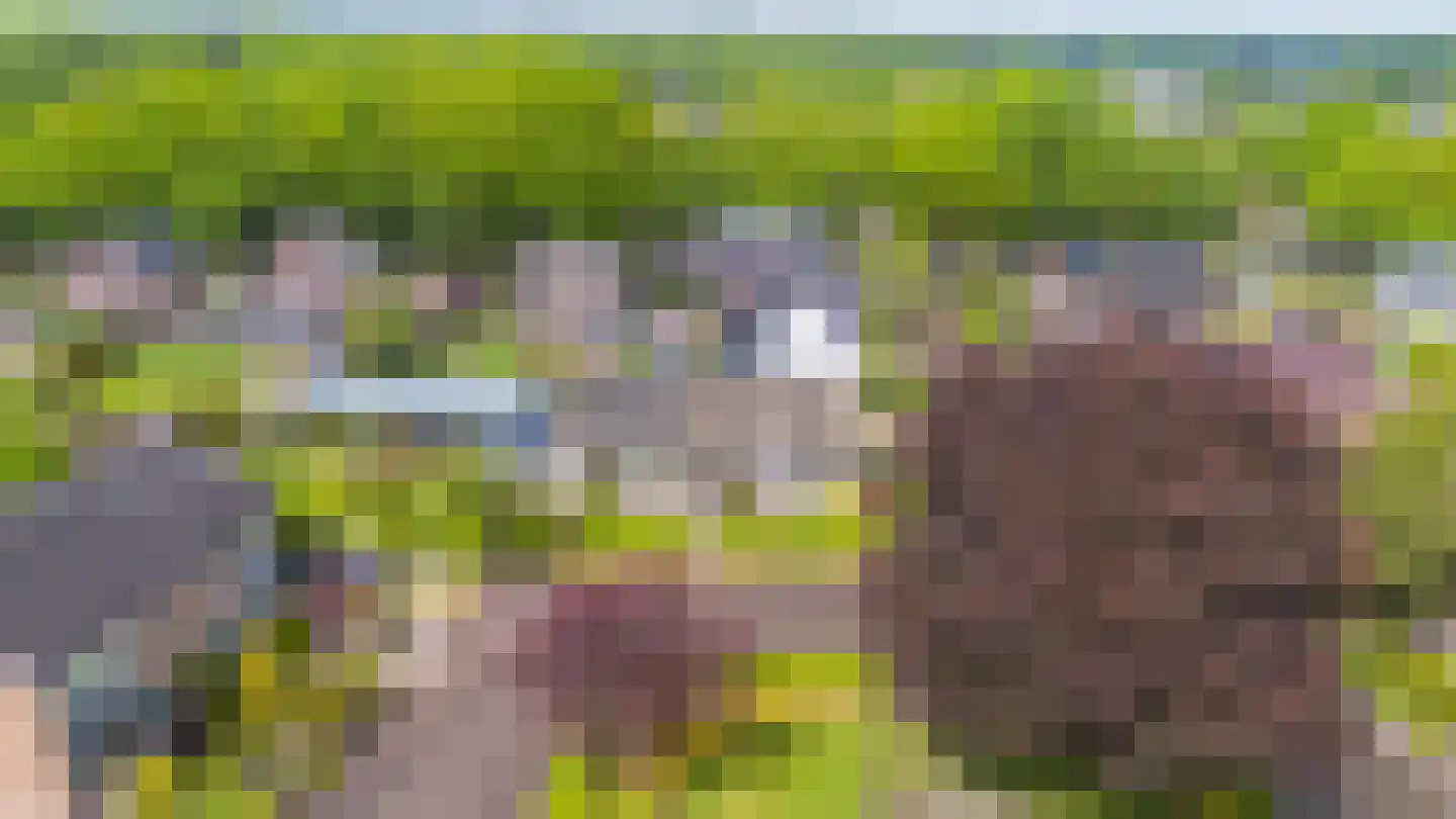 Haarweg 2 Elspeet thumbnail 44