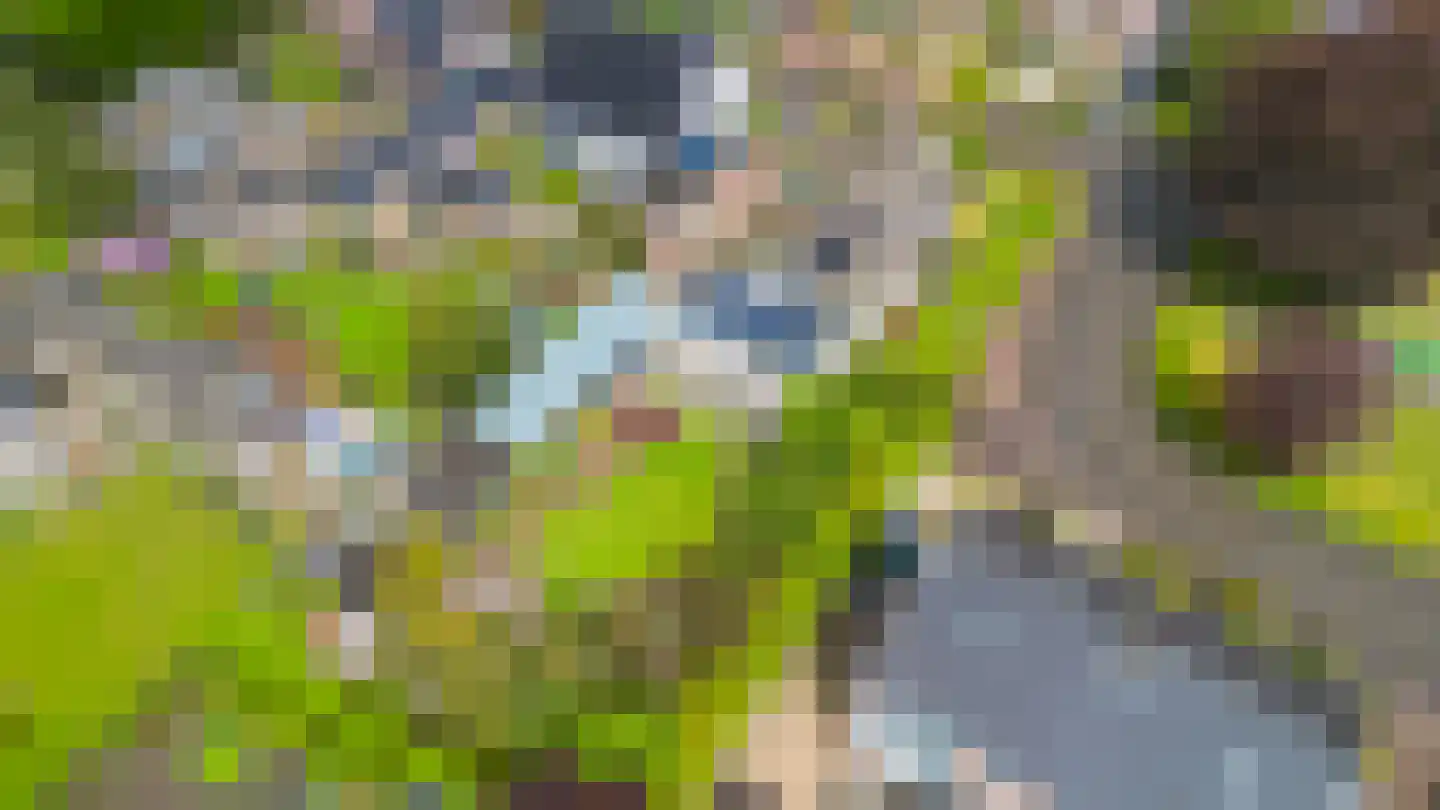Haarweg 2 Elspeet thumbnail 46