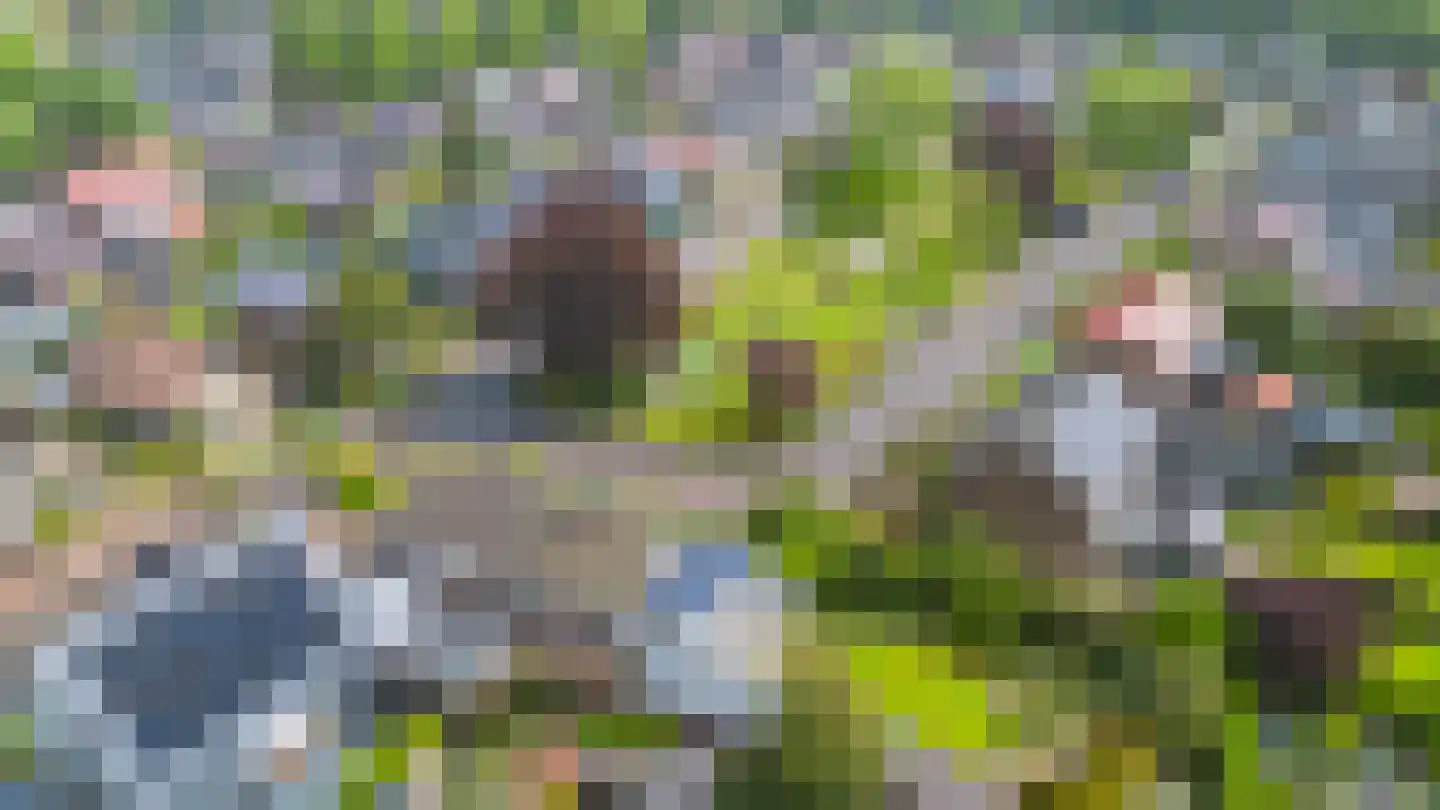 Haarweg 2 Elspeet thumbnail 47