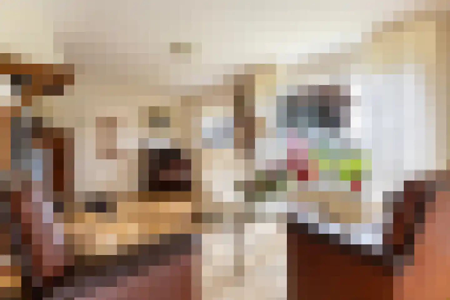 Haarweg 2 Elspeet thumbnail 8