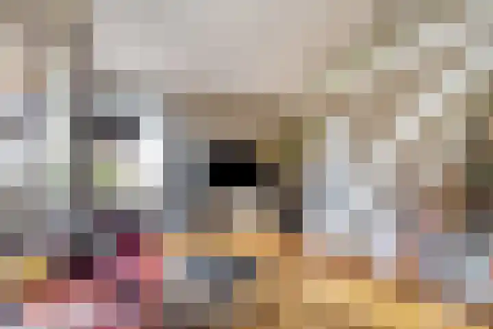 Haarweg 23 a Elspeet thumbnail 15
