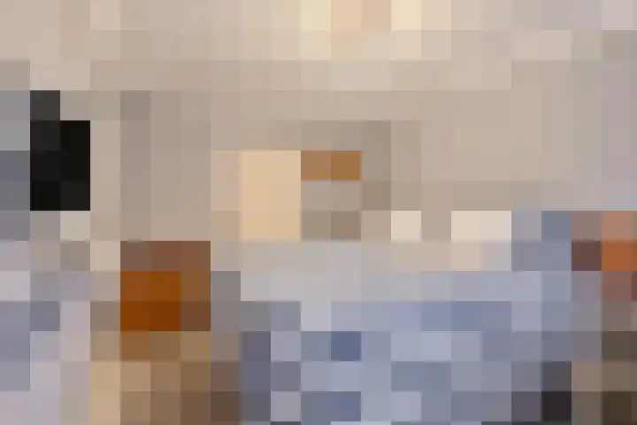 Haarweg 23 a Elspeet thumbnail 23